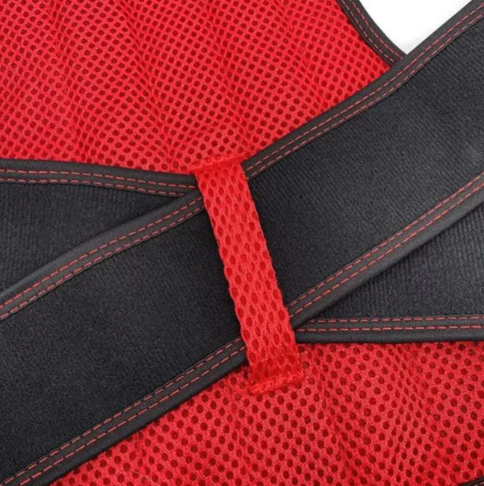 ErgoCore Adjustable Posture Trainer