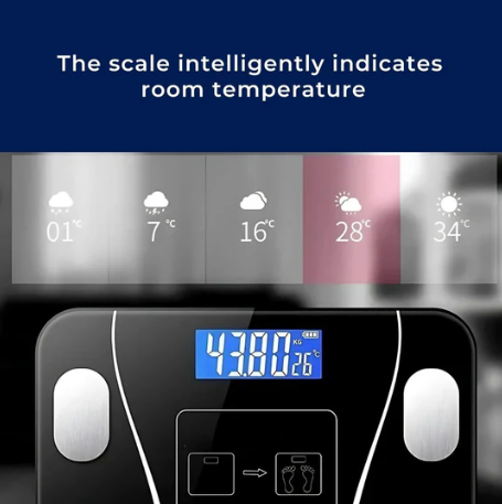 BodyMetrics Smart Body Composition Scale | BMI Fat Scale - Measures Weight - Calculates Body Fat - Tracks Fitness